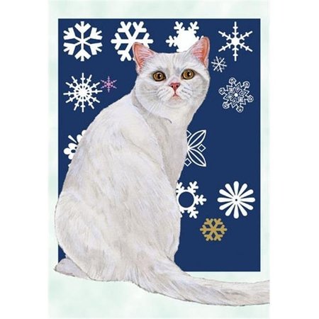 PIPSQUEAK PRODUCTIONS Pipsqueak Productions C545 White British Shorthair Cat Christmas Boxed Cards - Pack of 10 C545